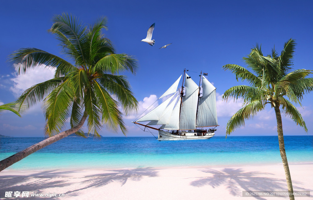 帆船大海椰子