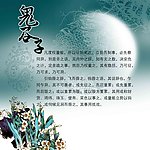 鬼谷子