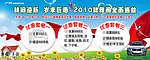 岁末巨献 全面盛放