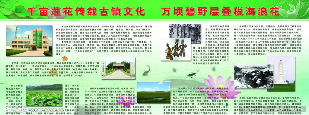 千亩莲花 古镇文化