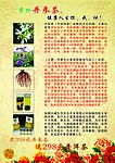 丹参茶