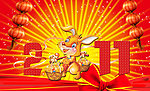 2011兔年