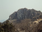 泰山