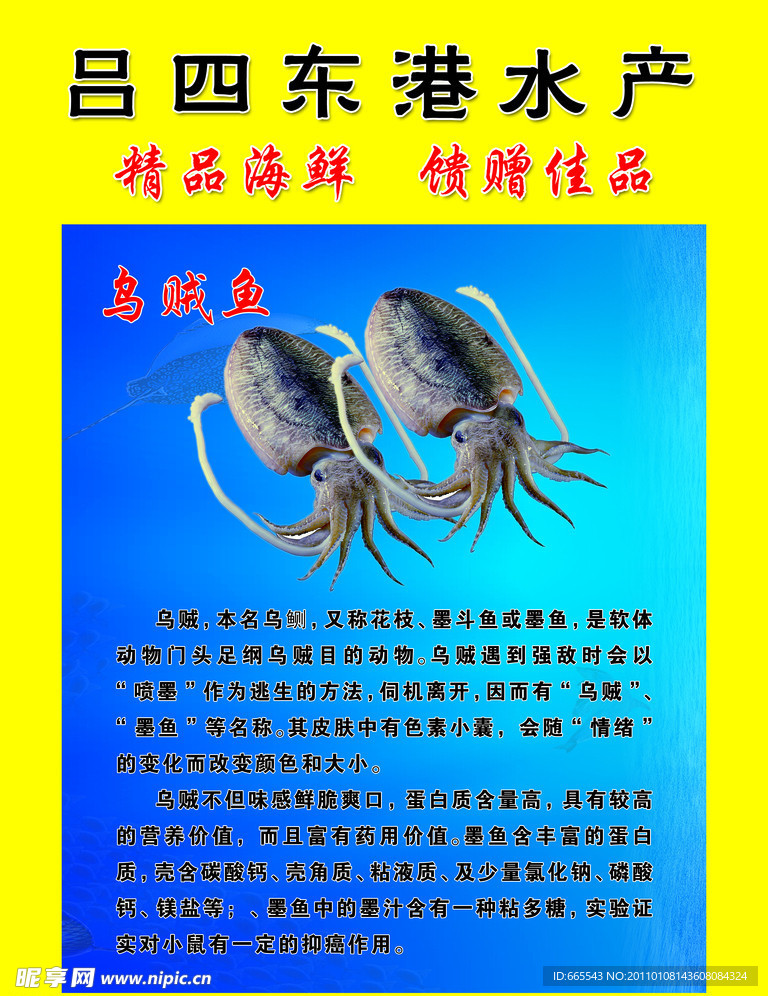 乌贼鱼