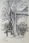 四川大学校园一角