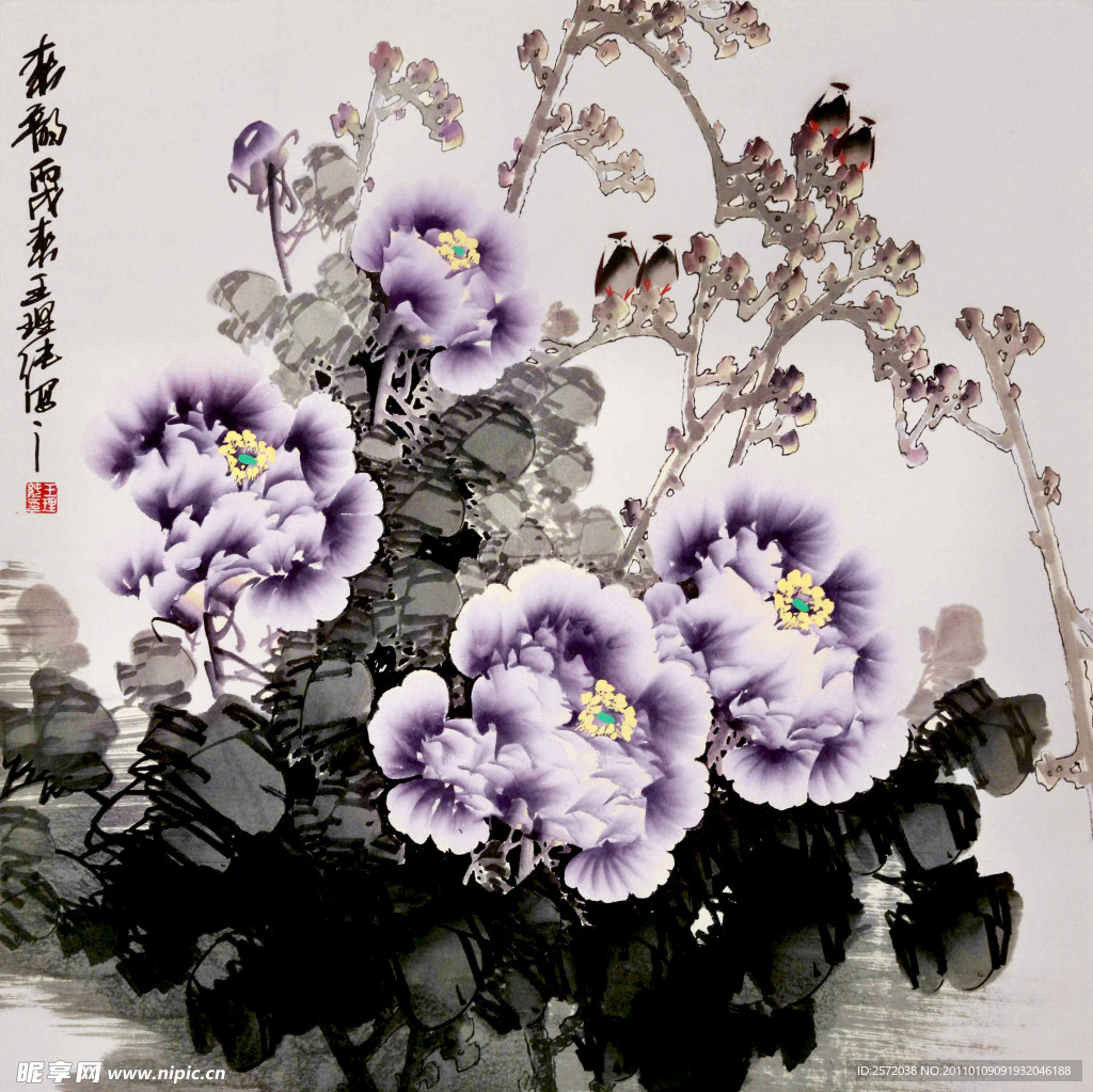 紫牡丹