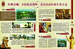 房地产报纸版面内页