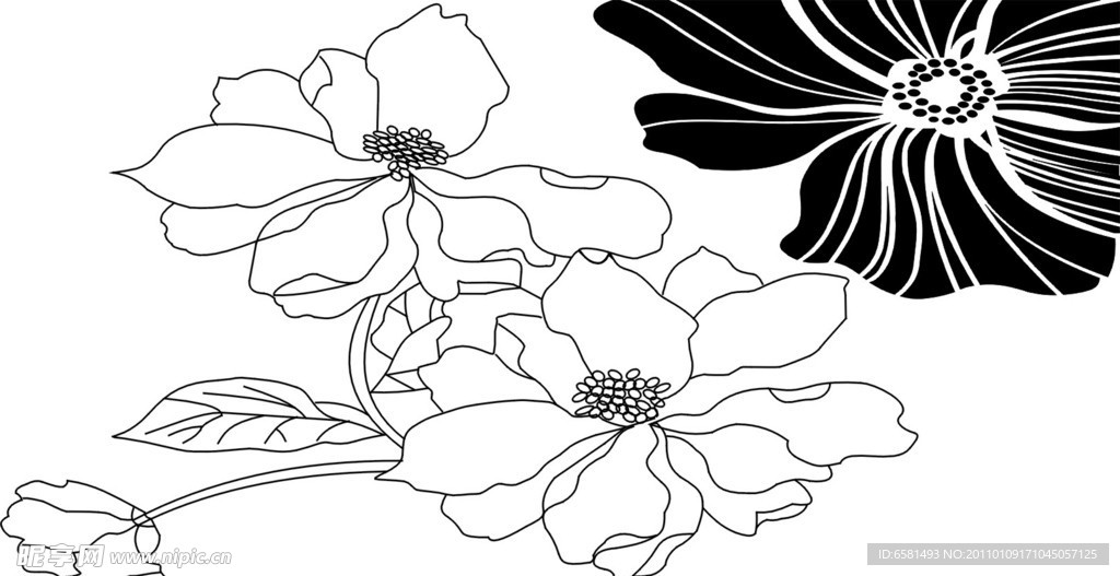 线条花