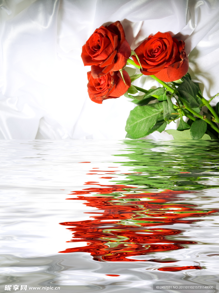 水面上的红玫瑰