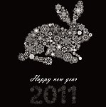 花纹兔子2011