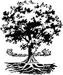 插画树