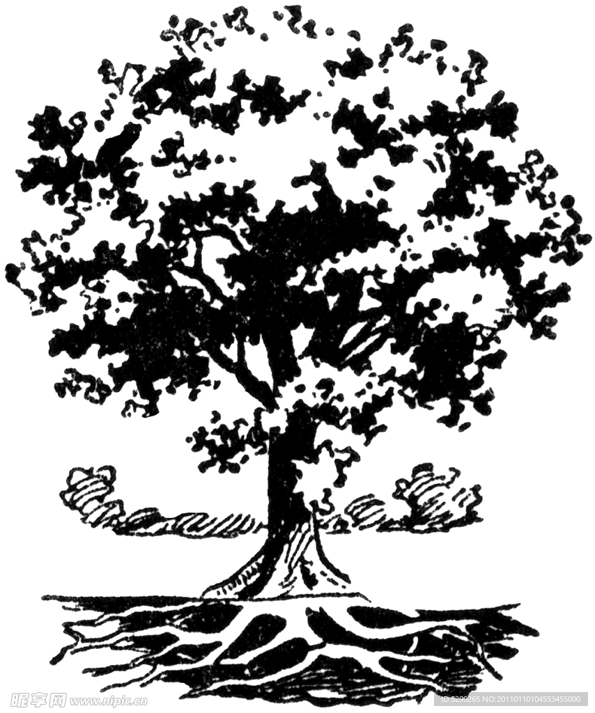 插画树
