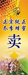 纯正蜂蜜