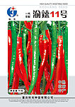 辣椒包装