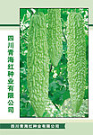 苦瓜
