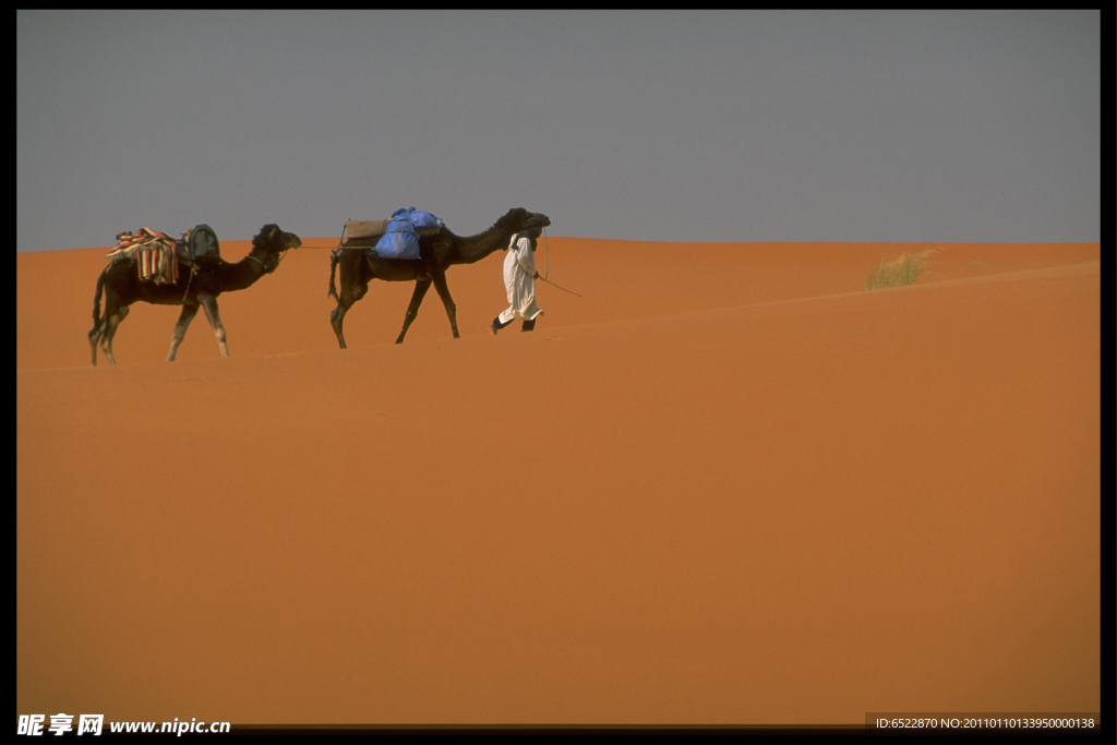 沙漠旅游