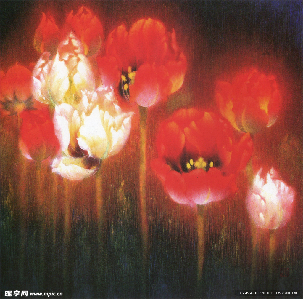 郁金香