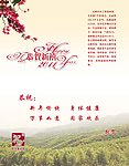 2011邮政贺卡外页