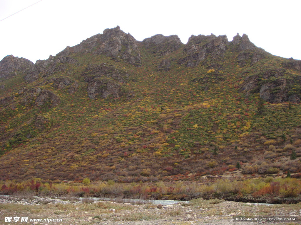 花山