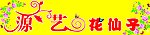 源艺花仙子