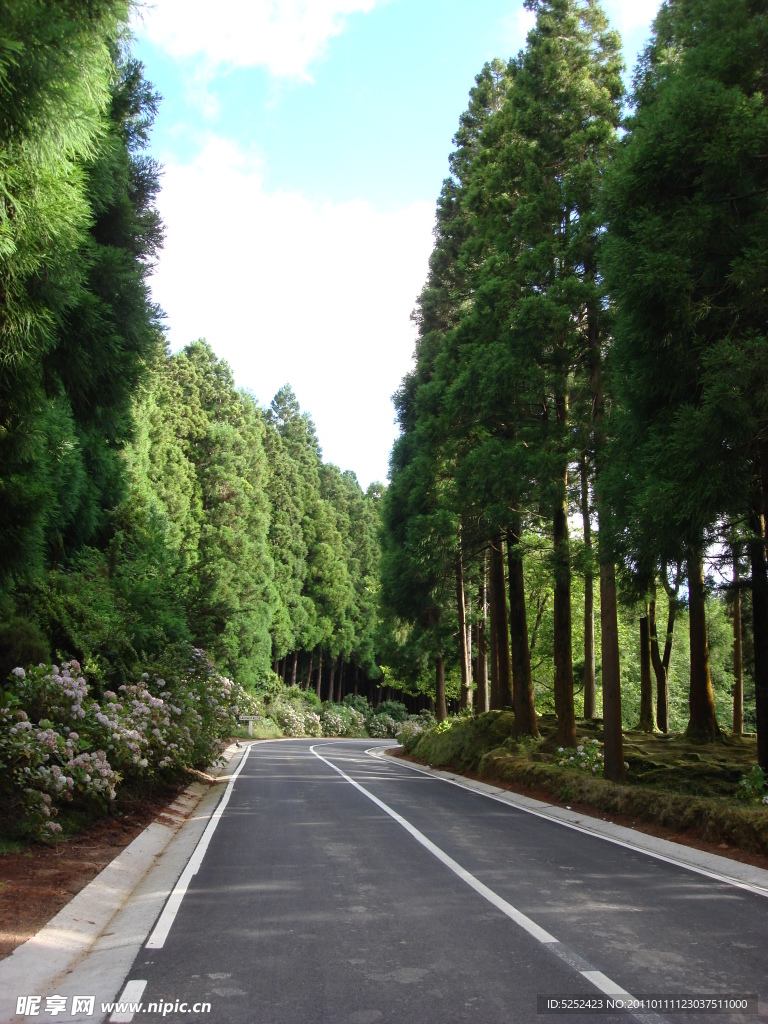 公路