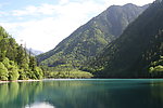 青山绿水
