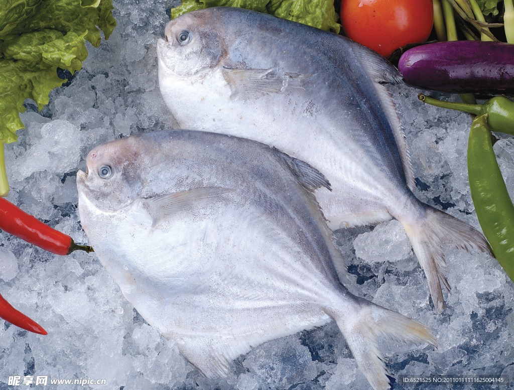 红烧海鲳鱼图片素材-编号30112943-图行天下