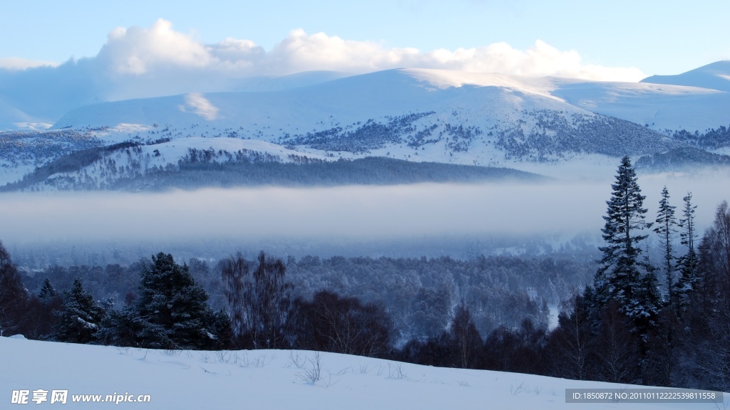 雪景