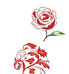 玫瑰花 欧式花纹