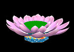 3D荷花