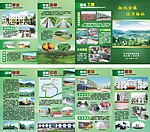 活力梅仙