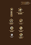 星河国际LOGO