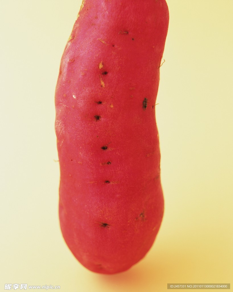 红薯 马铃薯