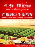 粮食宣传 海报