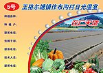 日光温室