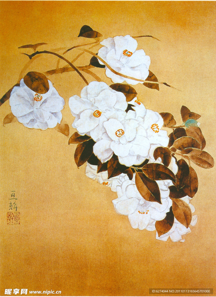 花卉