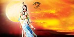 杨幂古装PSD分层
