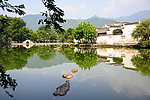 池塘