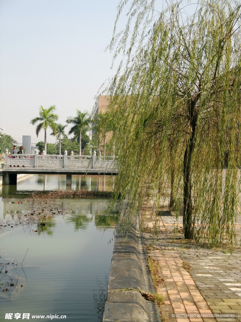 校园风景