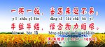 一粥一饭