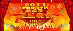 2011年师范学院元旦晚会海报