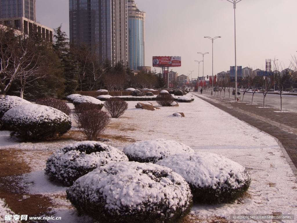 路边雪景