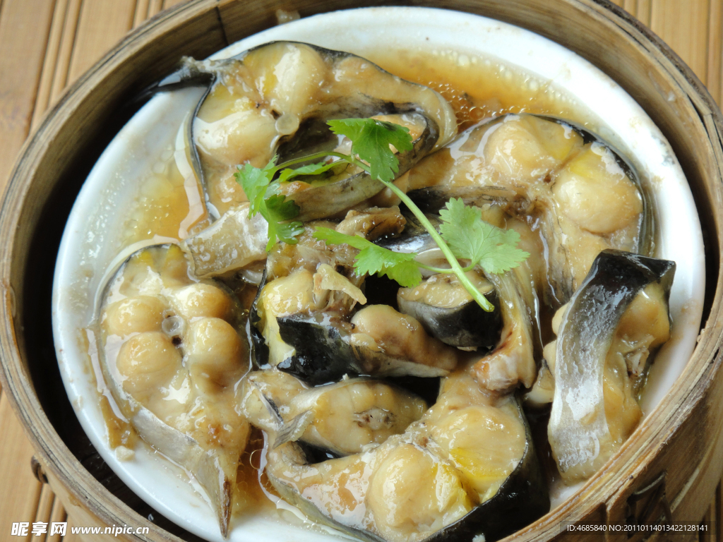 鲶鱼