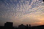 校园的夕阳