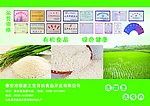 绿康之宝