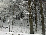 雪景