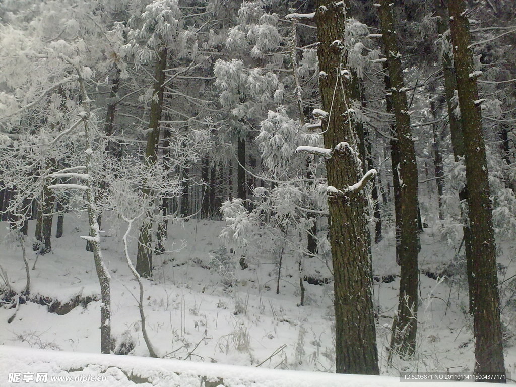 雪景