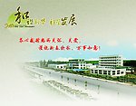 贺卡