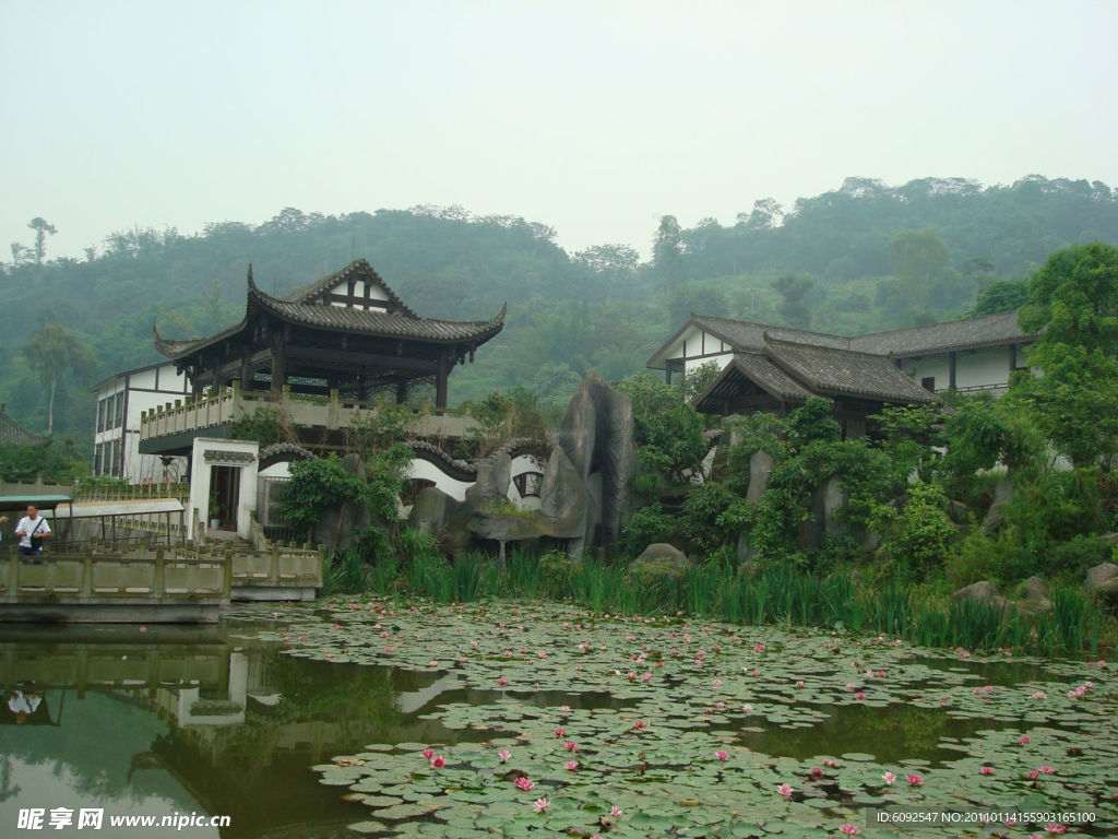 泸州桂圆林