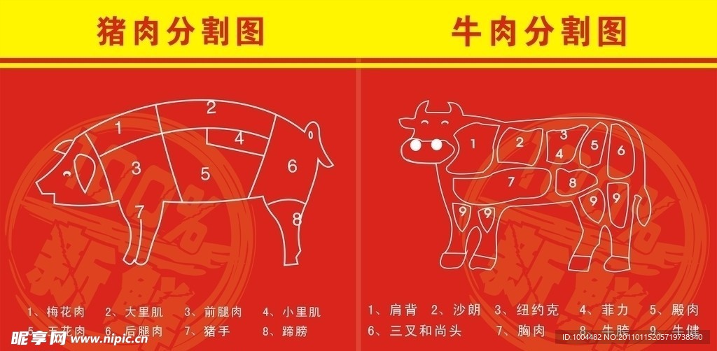 猪肉牛肉分割图